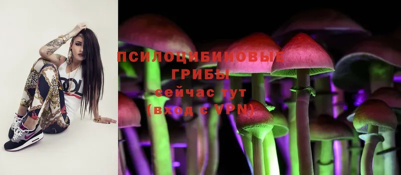 blacksprut как зайти  Вихоревка  Псилоцибиновые грибы Psilocybe 